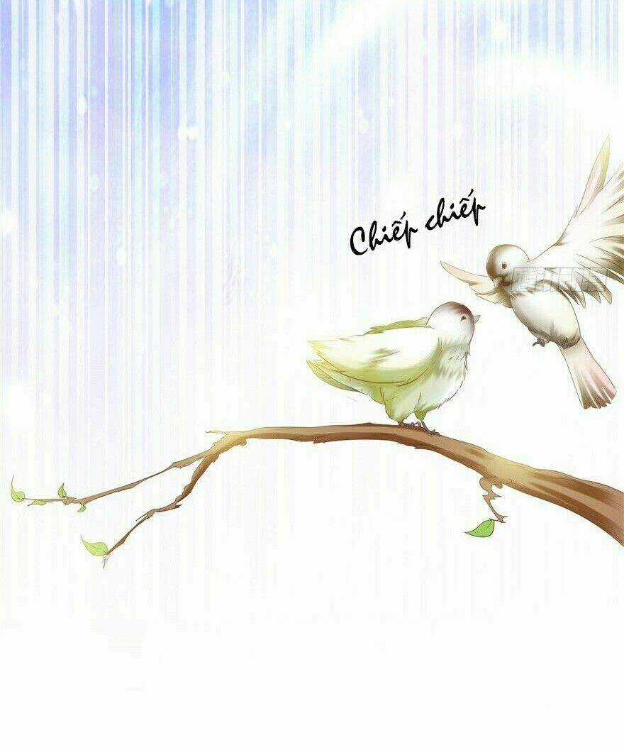 Manh Thê Thực Thần - Chapter 13 - Trang 14