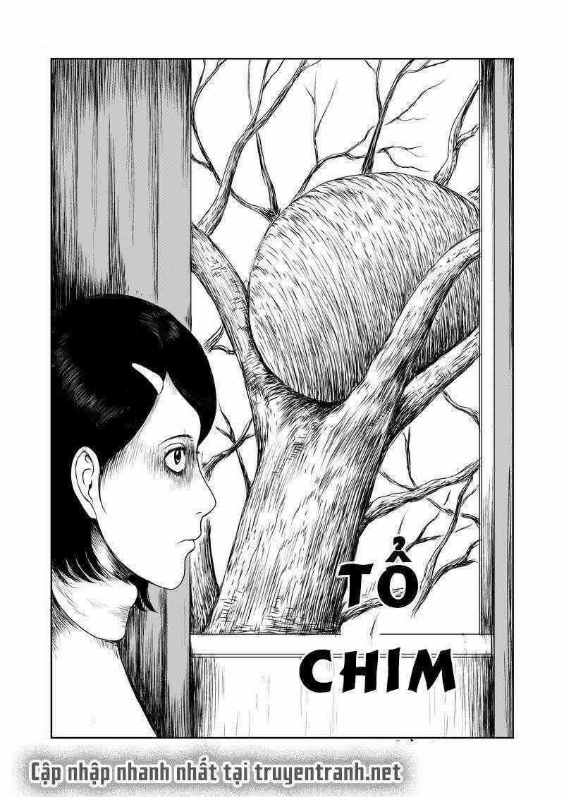 Mảnh Vỡ Ác Mộng - Chapter 1 - Trang 1