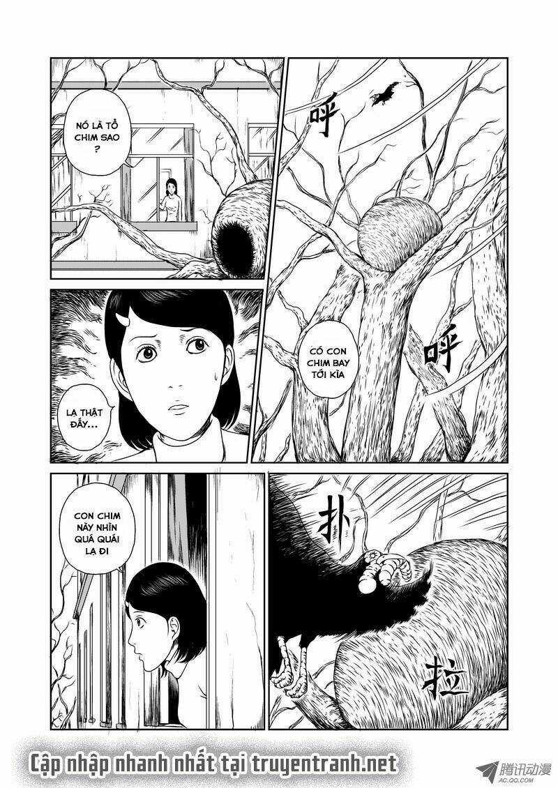 Mảnh Vỡ Ác Mộng - Chapter 1 - Trang 5