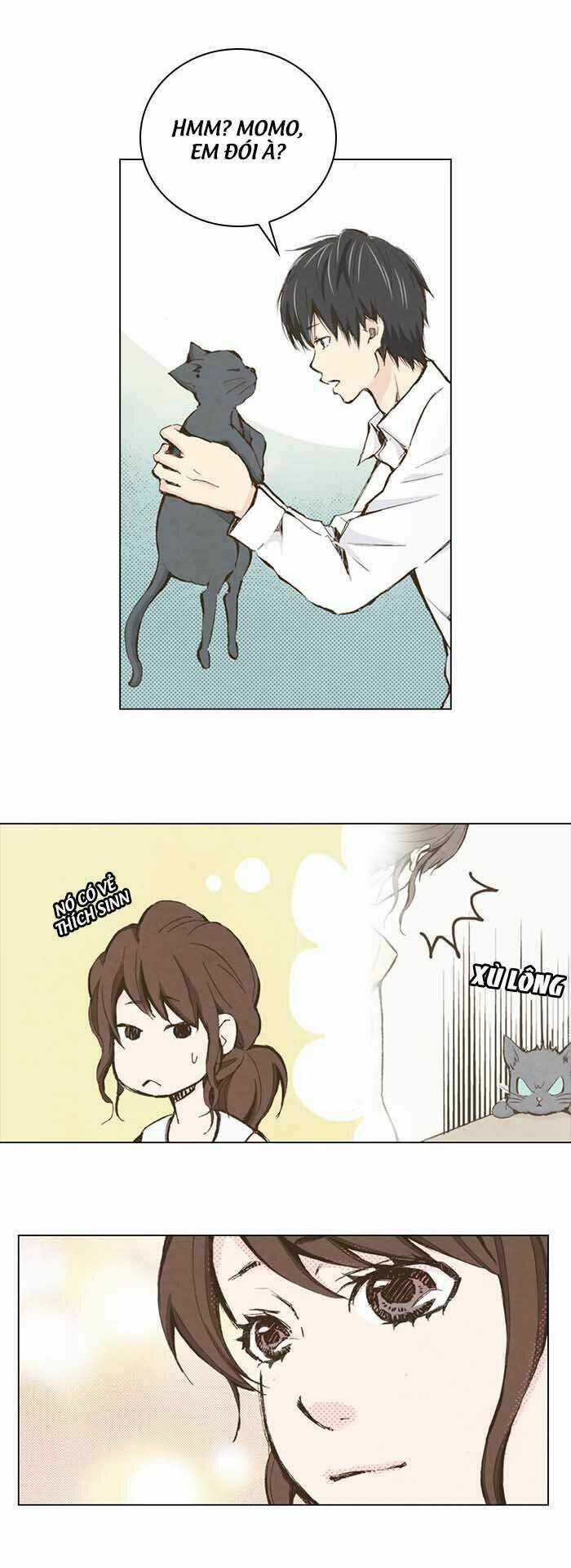 MARRY ME! - Chapter 17 - Trang 6