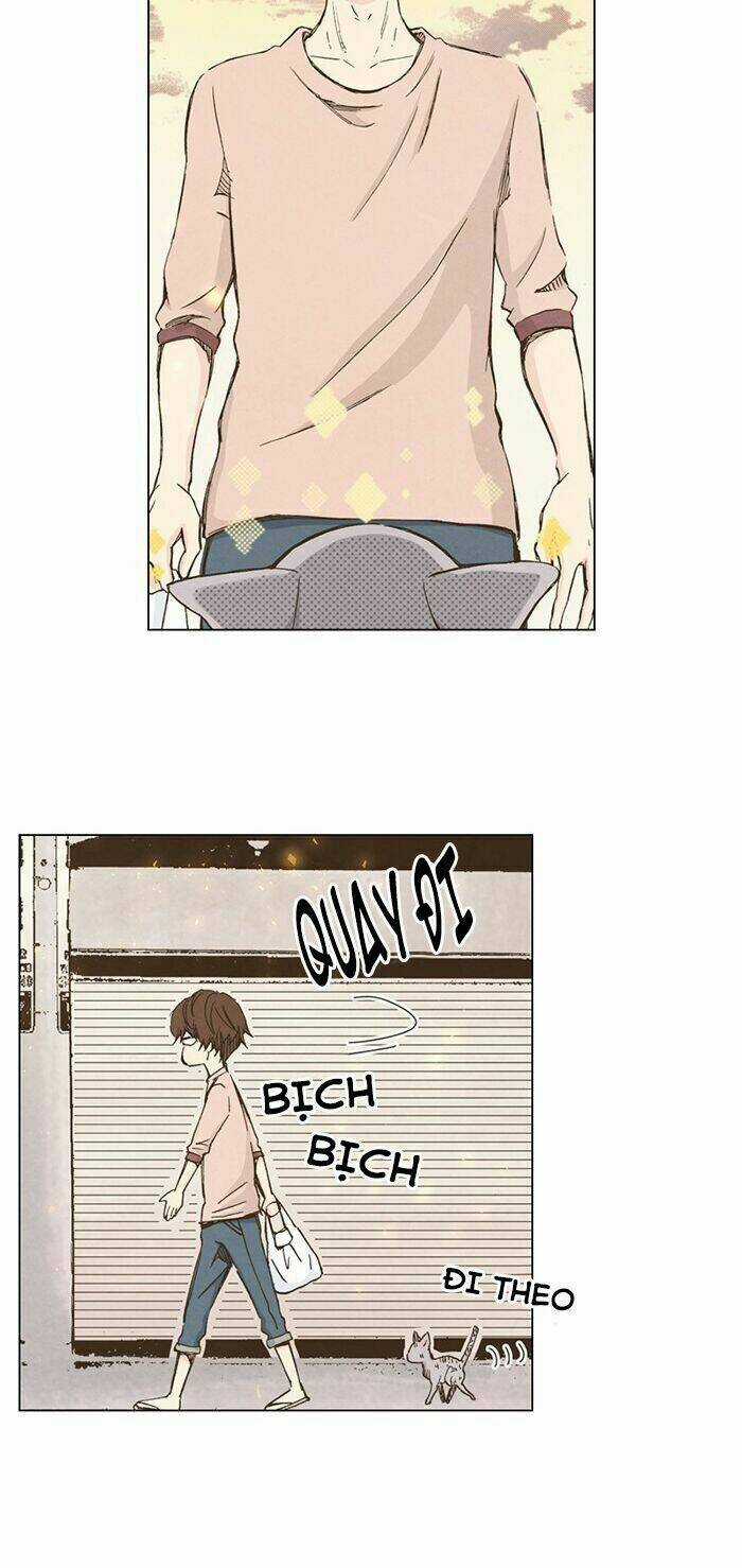 MARRY ME! - Chapter 31 - Trang 32