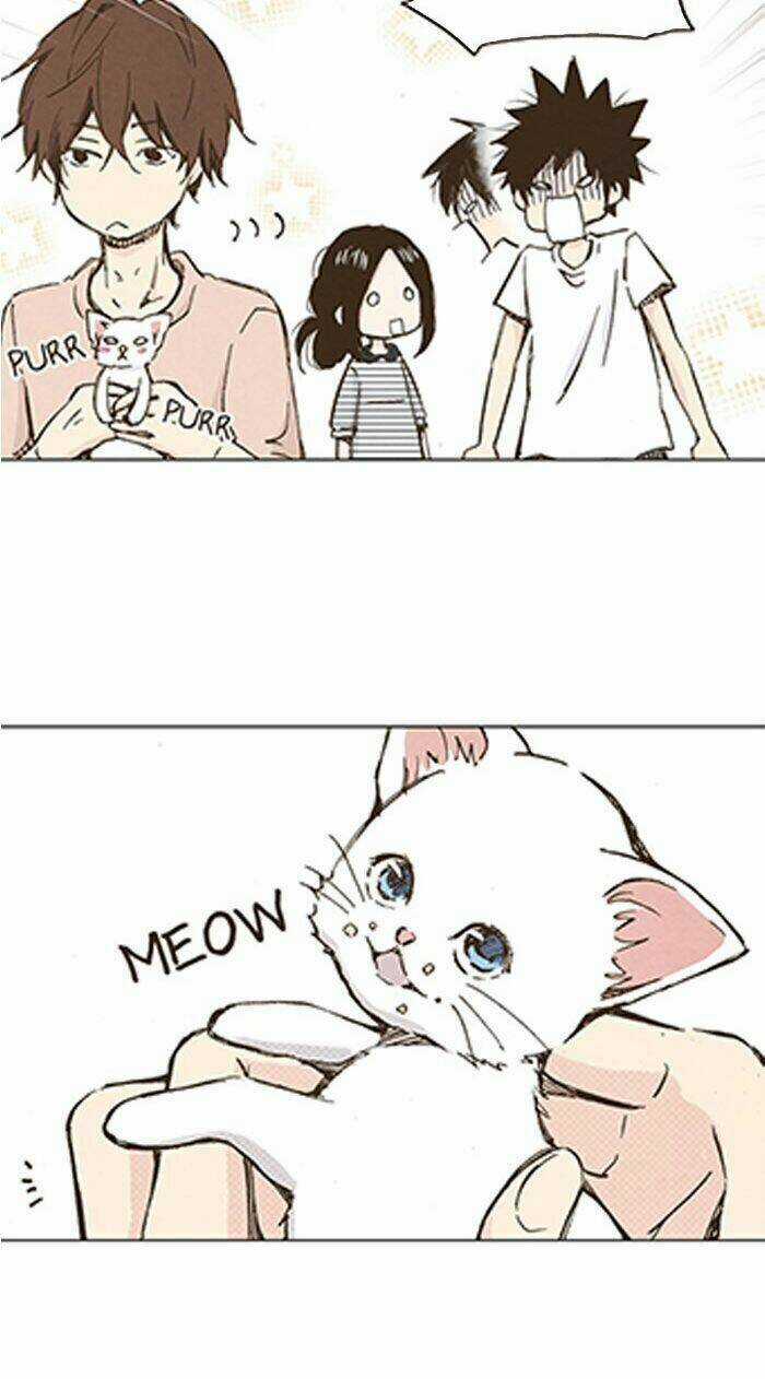 MARRY ME! - Chapter 34 - Trang 12