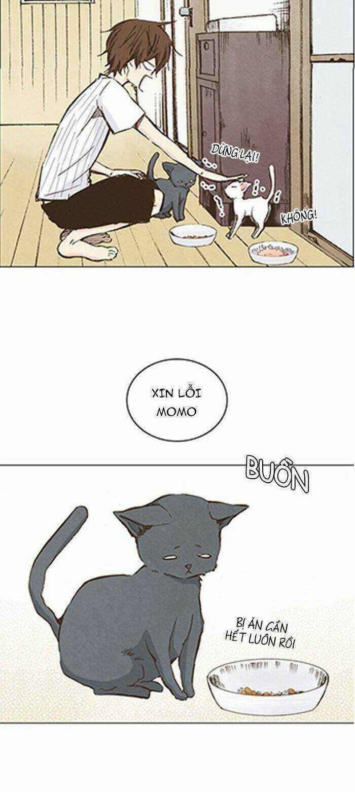 MARRY ME! - Chapter 35 - Trang 22