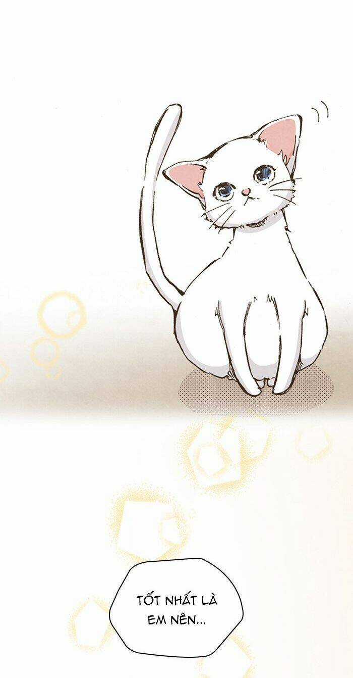 MARRY ME! - Chapter 36 - Trang 34