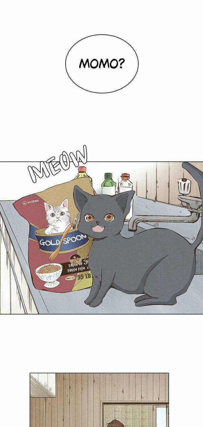 MARRY ME! - Chapter 37 - Trang 14