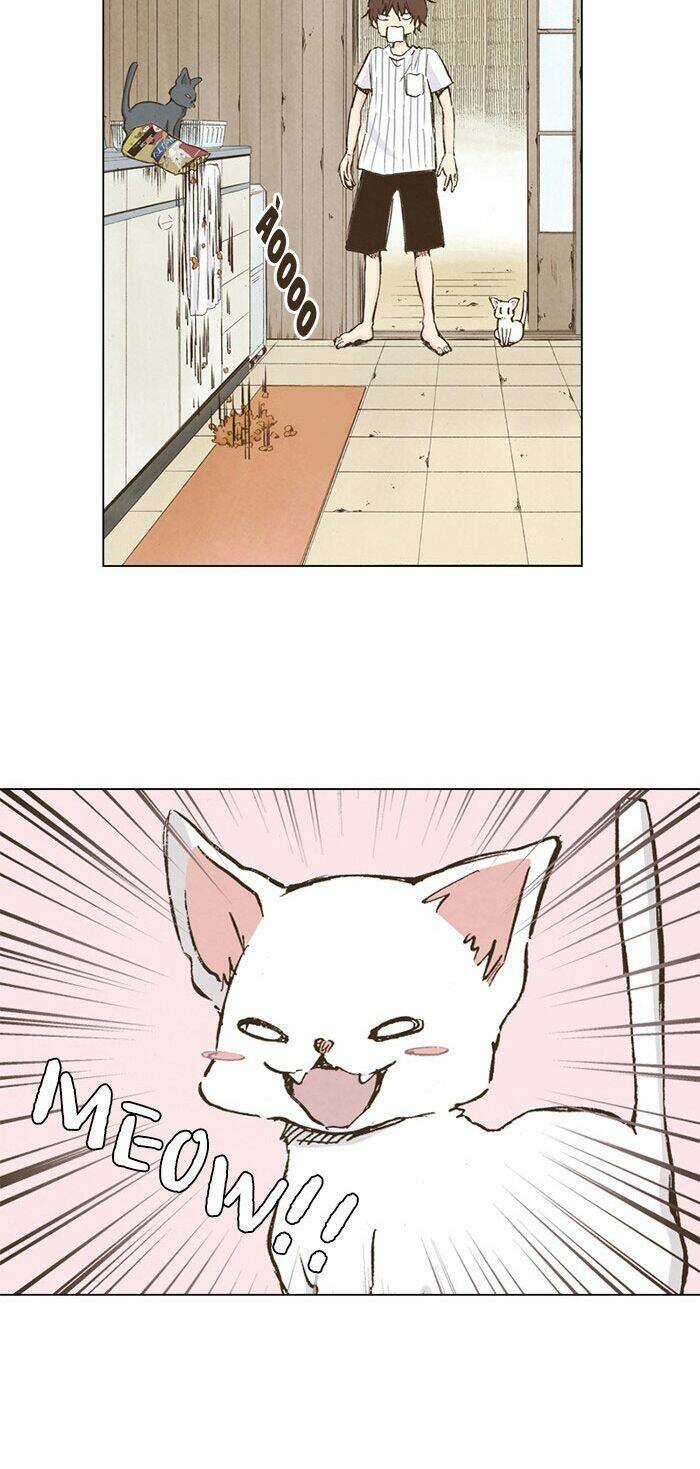 MARRY ME! - Chapter 37 - Trang 15