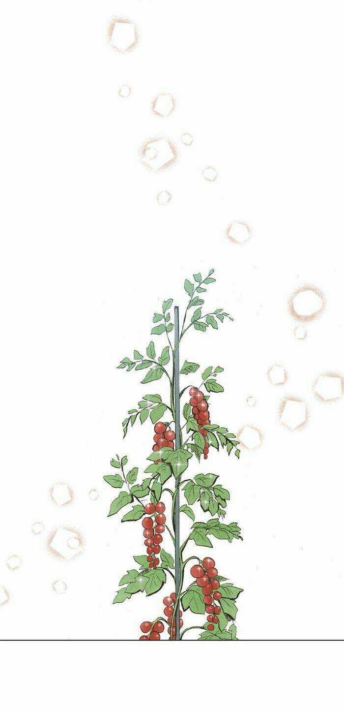 MARRY ME! - Chapter 39 - Trang 30