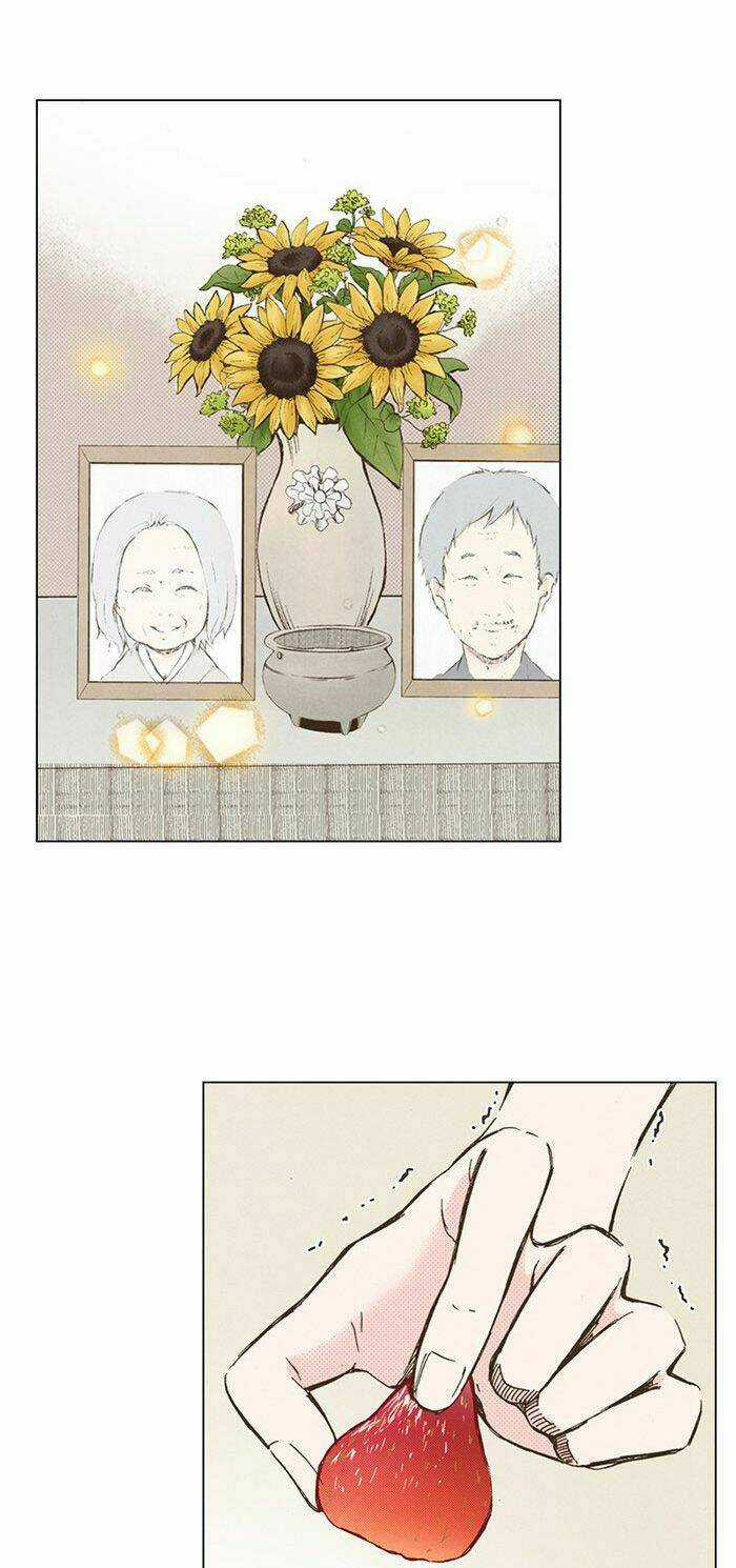 MARRY ME! - Chapter 41 - Trang 3