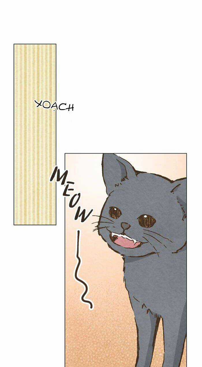 MARRY ME! - Chapter 73 - Trang 29