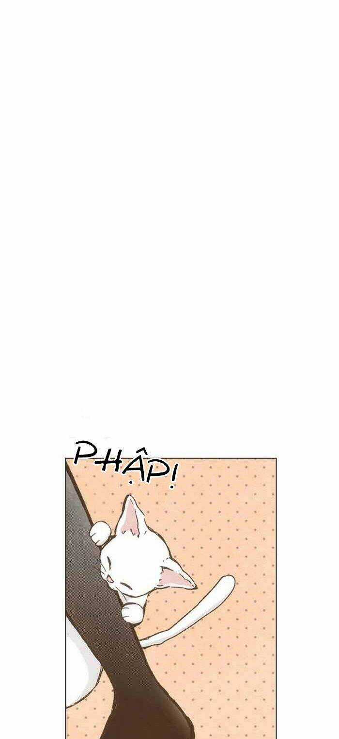 MARRY ME! - Chapter 74 - Trang 5