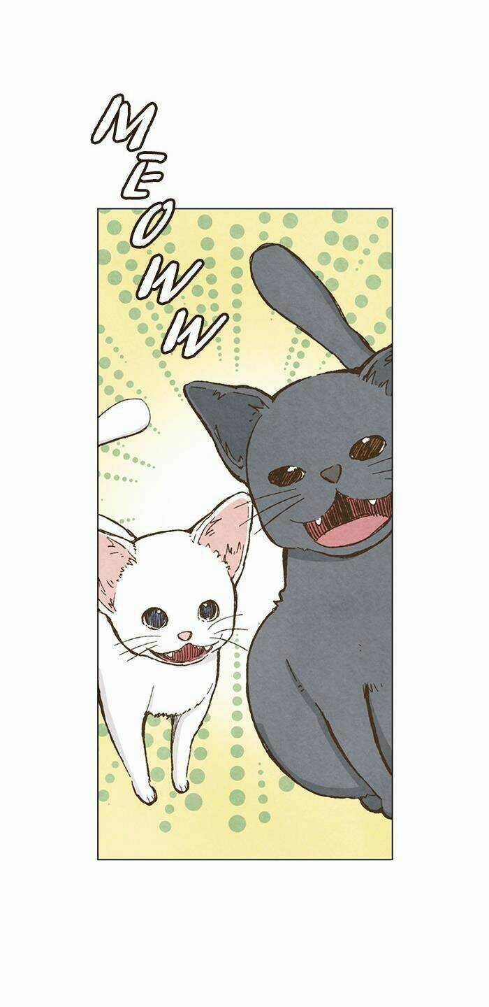 MARRY ME! - Chapter 79 - Trang 40