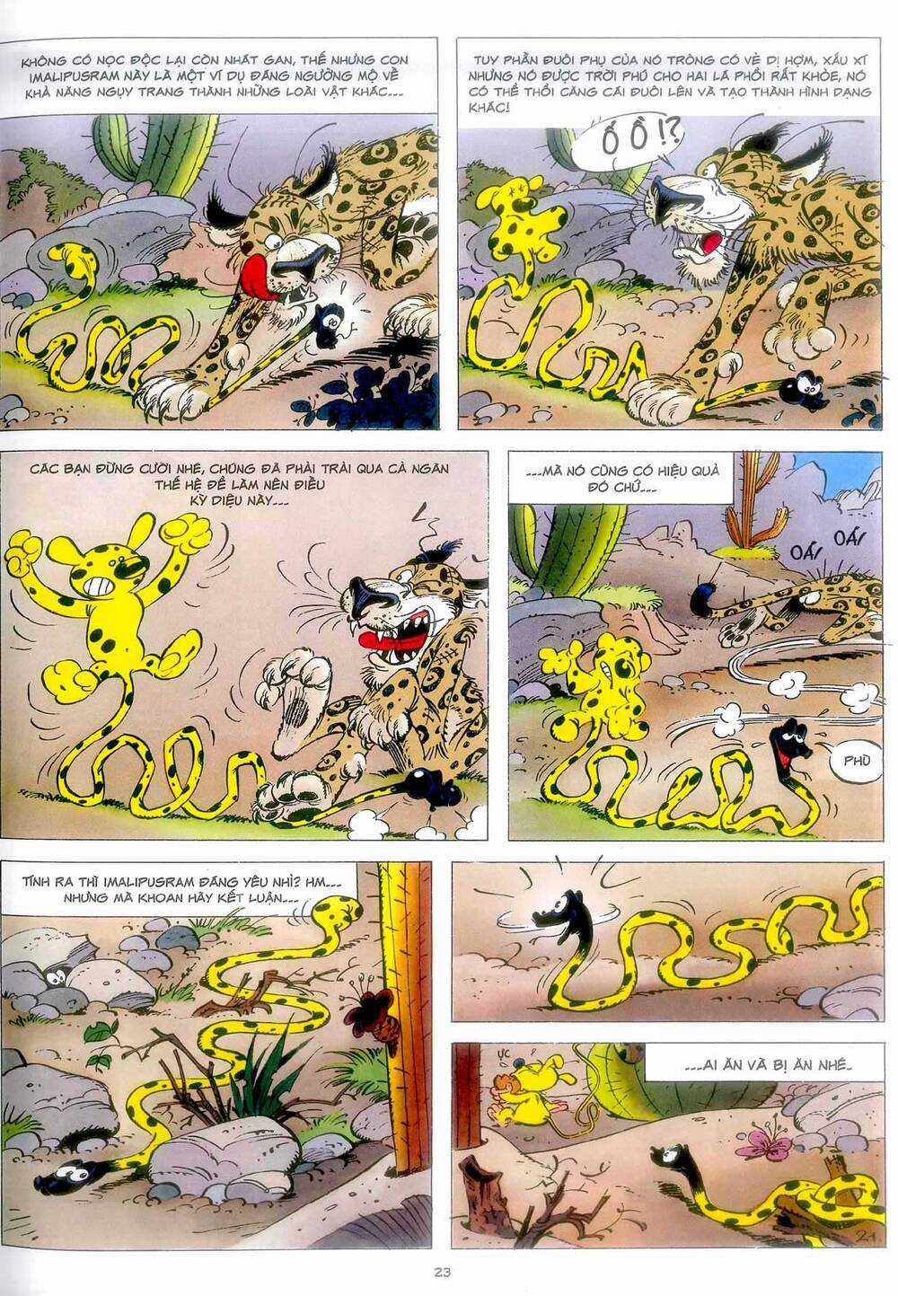Marsupilami - Chapter 4 - Trang 22