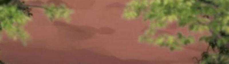 Mạt Thế Hậu Cần - Chapter 54 - Trang 70