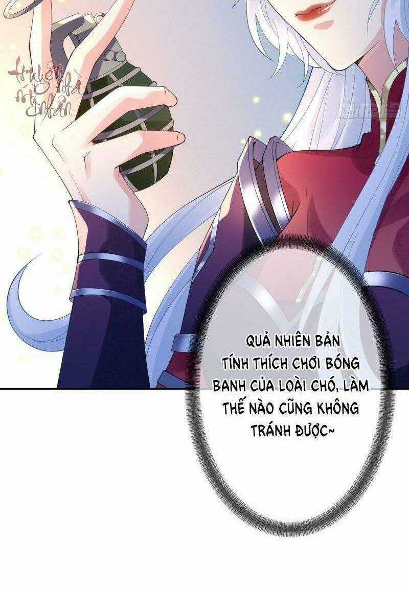 Mạt Thế Nữ Vương - Chapter 11 - Trang 8