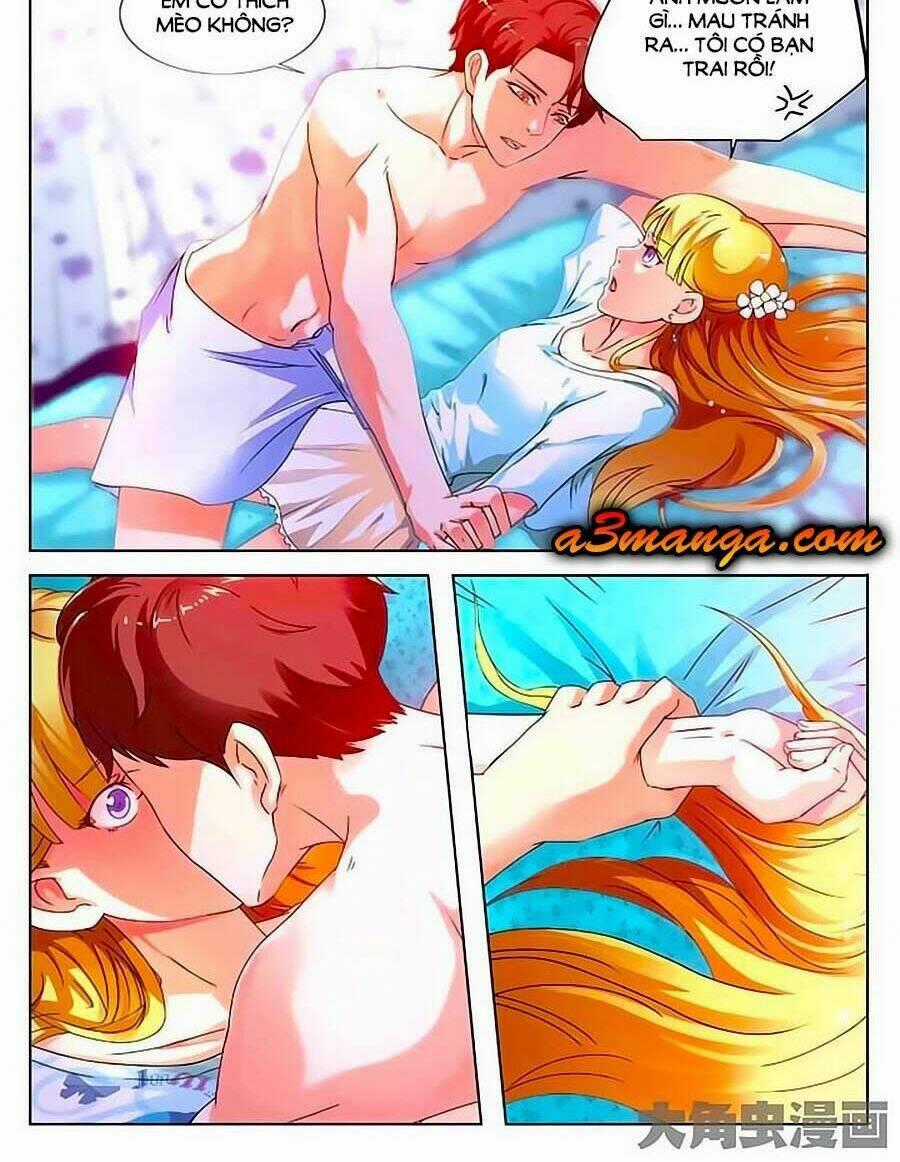 Mau Lấy Con Mèo Đó Ra - Chapter 1 - Trang 2