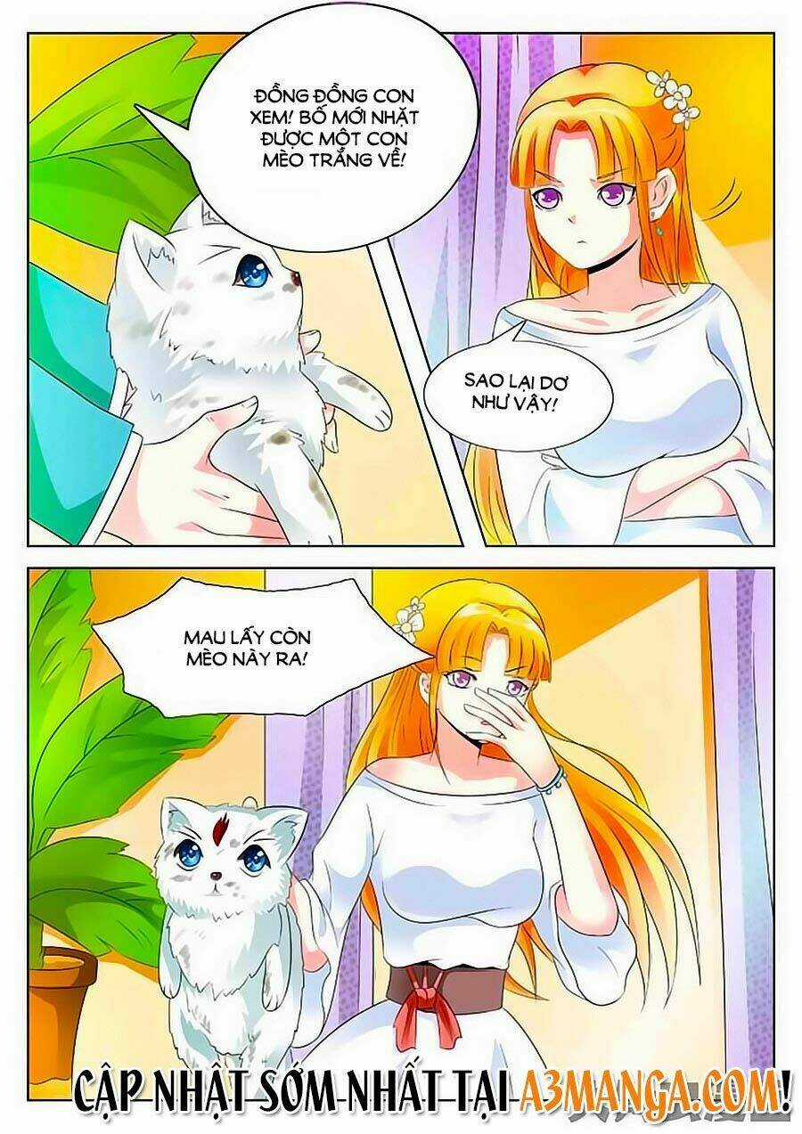 Mau Lấy Con Mèo Đó Ra - Chapter 1 - Trang 14