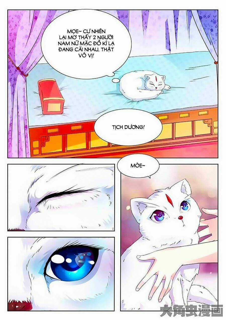 Mau Lấy Con Mèo Đó Ra - Chapter 1 - Trang 7