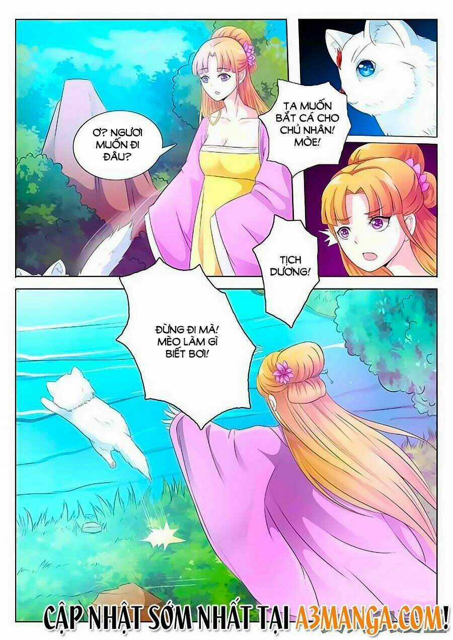 Mau Lấy Con Mèo Đó Ra - Chapter 1 - Trang 10