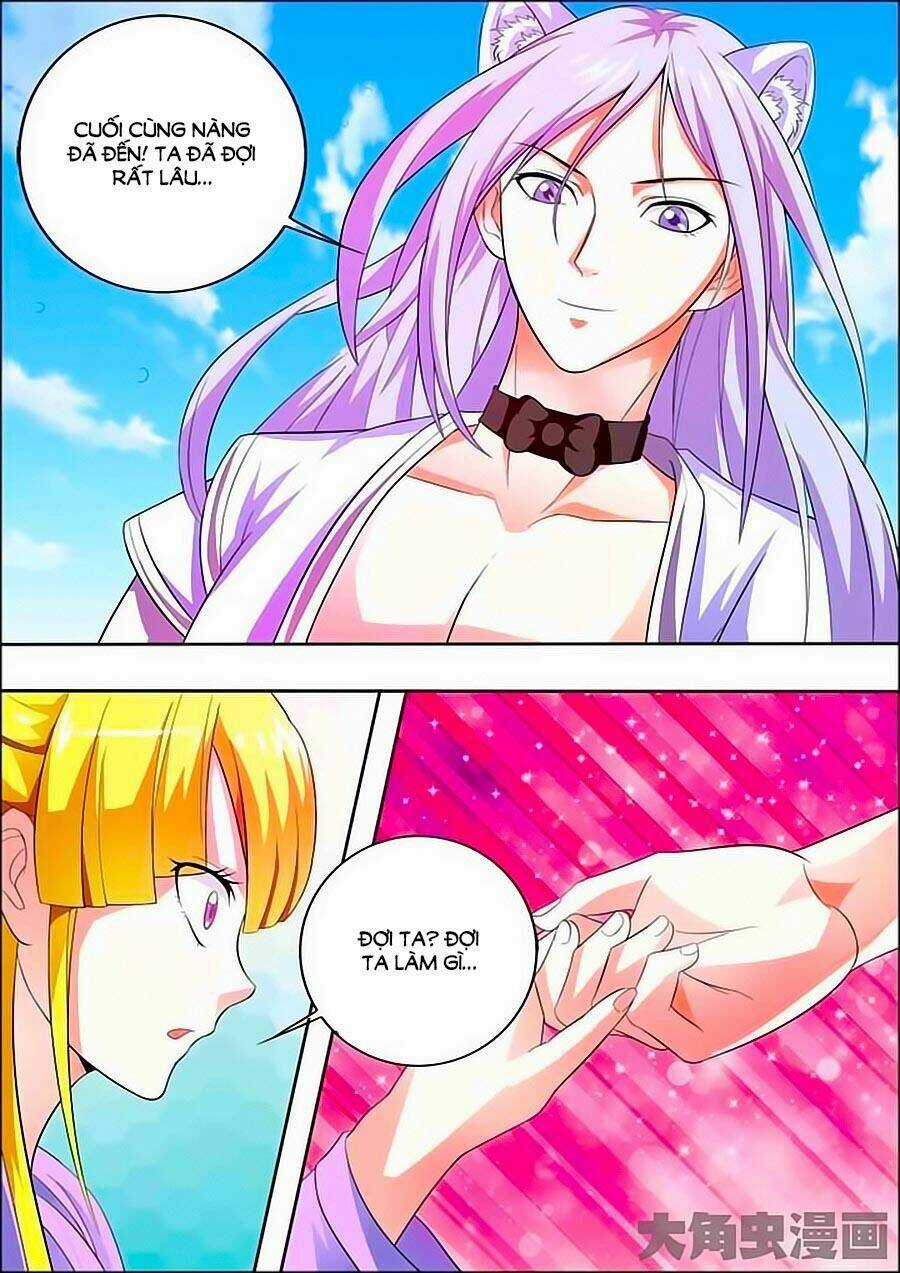 Mau Lấy Con Mèo Đó Ra - Chapter 11 - Trang 3