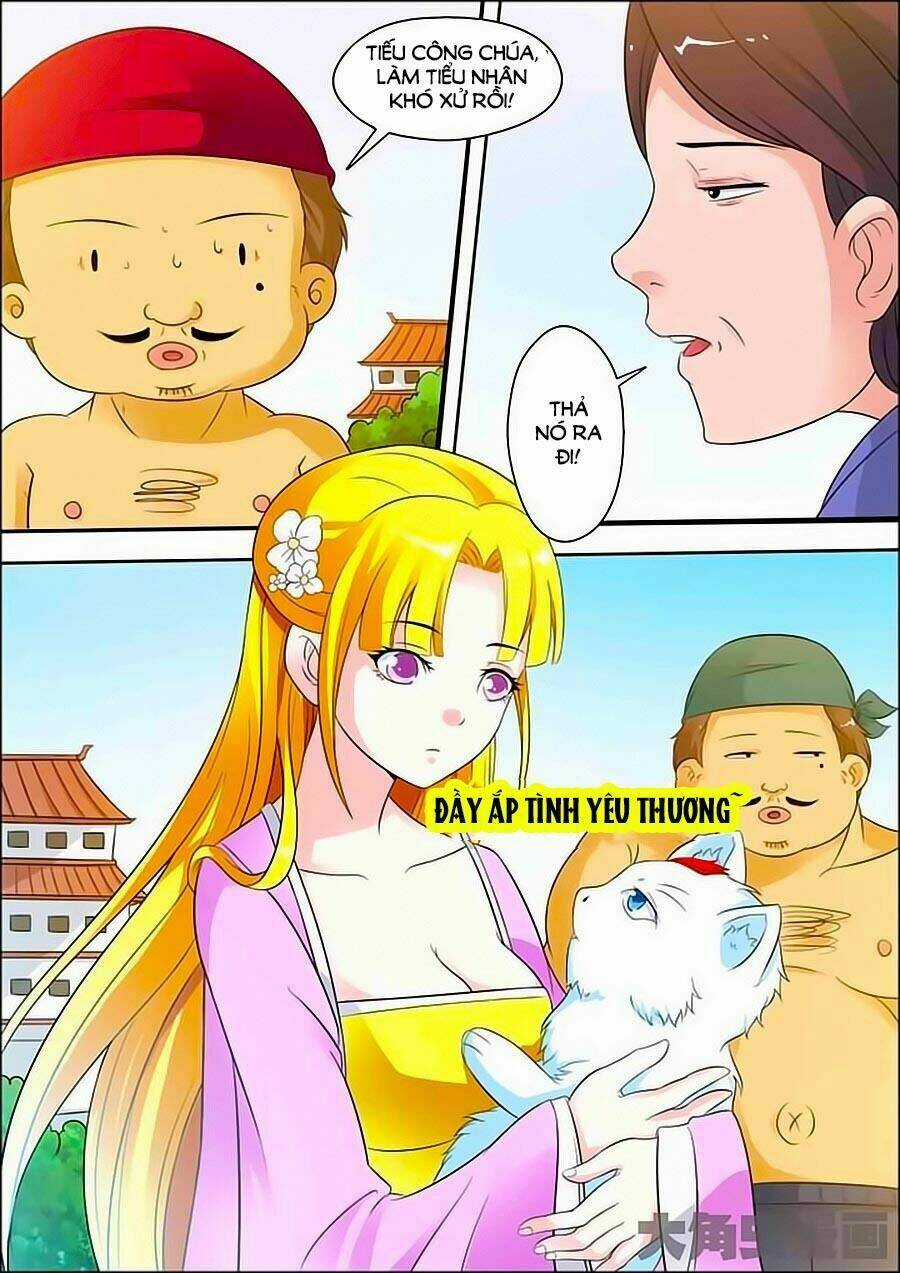 Mau Lấy Con Mèo Đó Ra - Chapter 13 - Trang 5