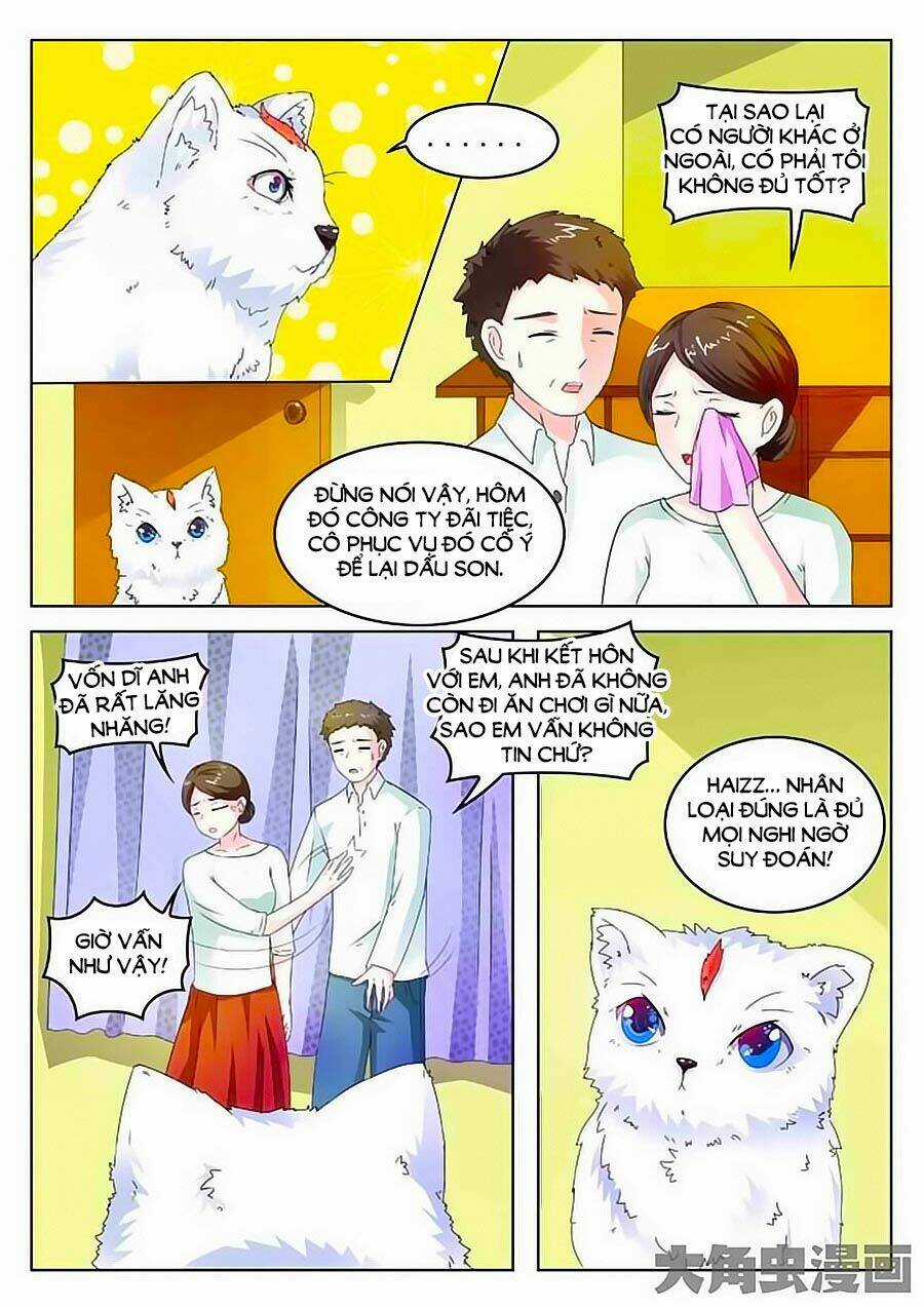 Mau Lấy Con Mèo Đó Ra - Chapter 2 - Trang 12