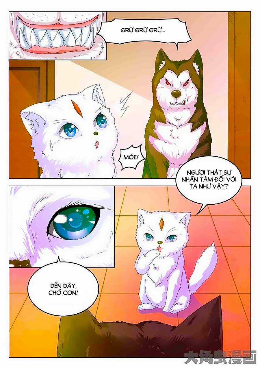 Mau Lấy Con Mèo Đó Ra - Chapter 2 - Trang 13