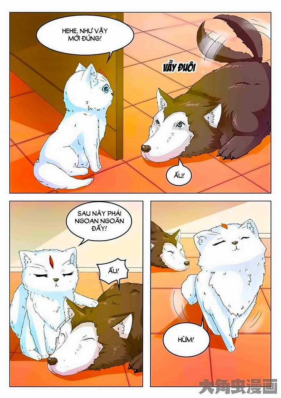 Mau Lấy Con Mèo Đó Ra - Chapter 2 - Trang 14