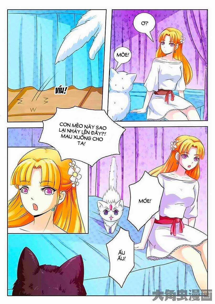 Mau Lấy Con Mèo Đó Ra - Chapter 2 - Trang 3