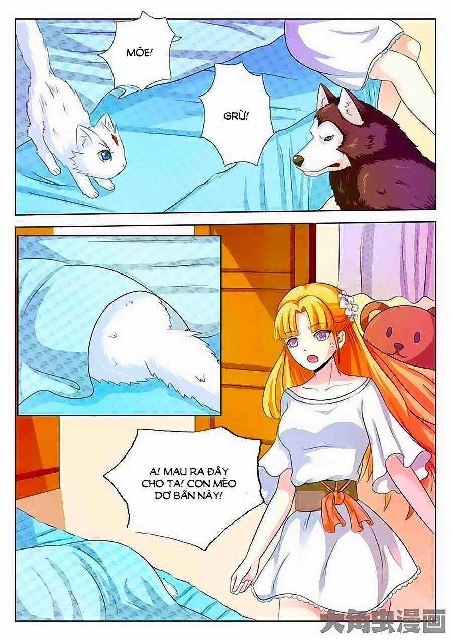 Mau Lấy Con Mèo Đó Ra - Chapter 2 - Trang 4