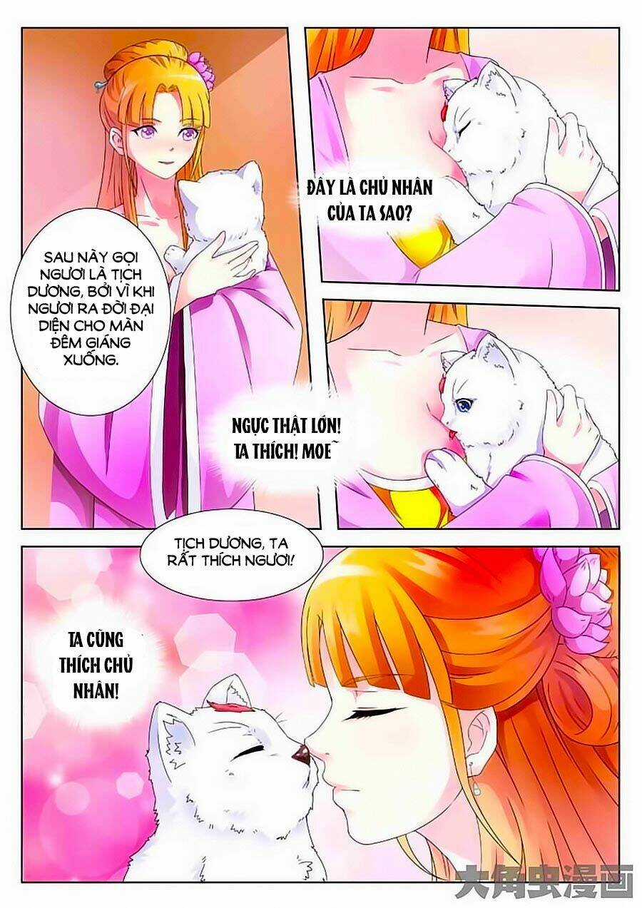 Mau Lấy Con Mèo Đó Ra - Chapter 2 - Trang 7