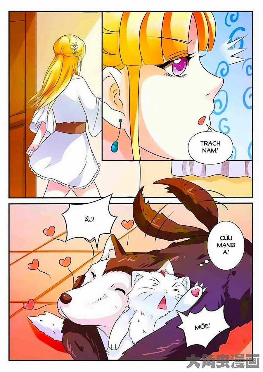 Mau Lấy Con Mèo Đó Ra - Chapter 3 - Trang 2