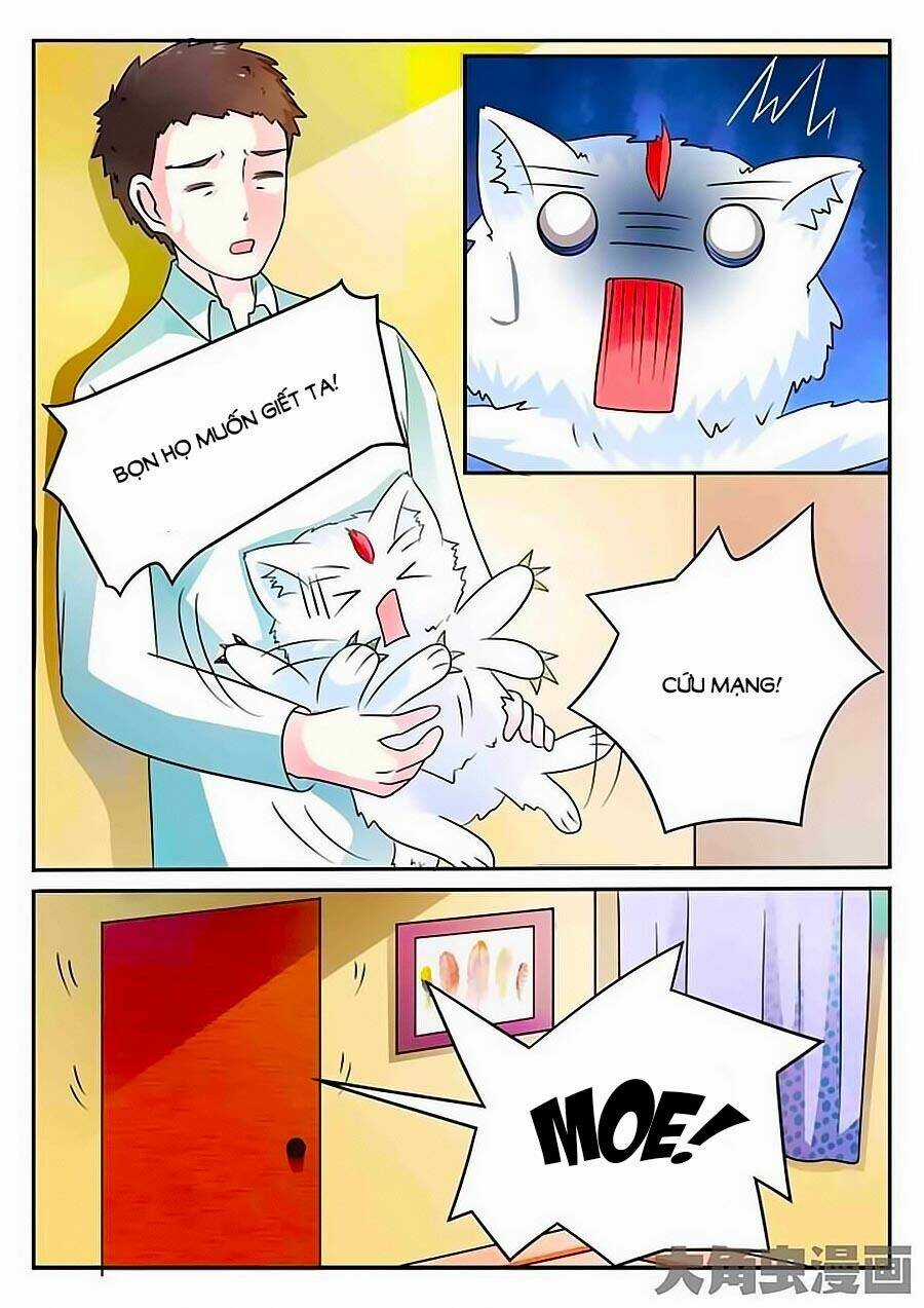 Mau Lấy Con Mèo Đó Ra - Chapter 3 - Trang 11