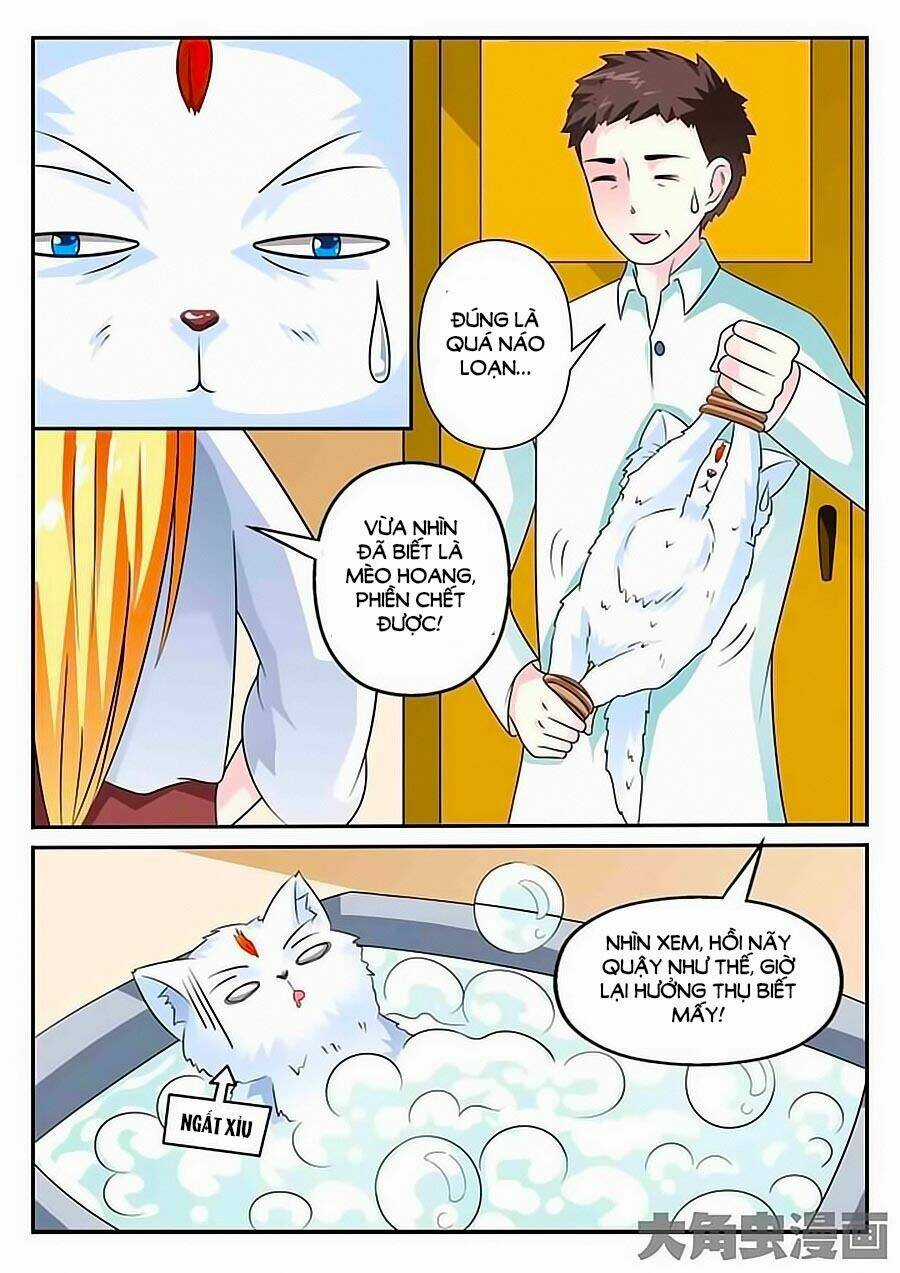 Mau Lấy Con Mèo Đó Ra - Chapter 3 - Trang 12