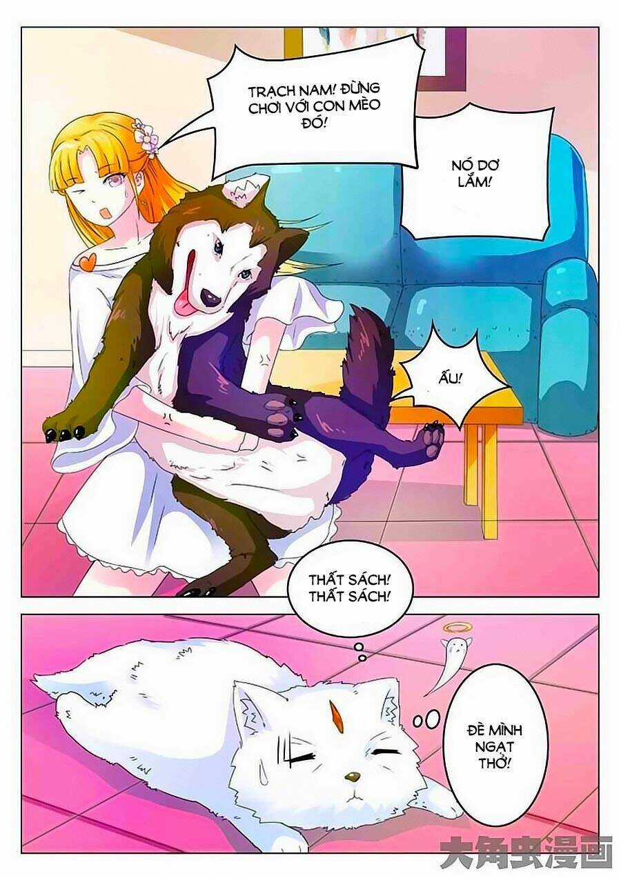 Mau Lấy Con Mèo Đó Ra - Chapter 3 - Trang 3