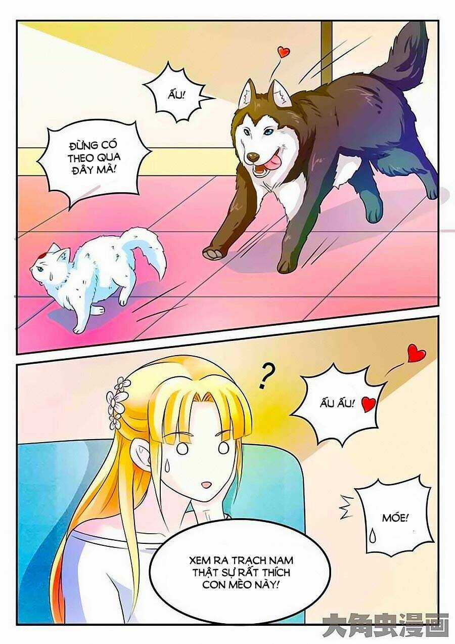 Mau Lấy Con Mèo Đó Ra - Chapter 3 - Trang 4