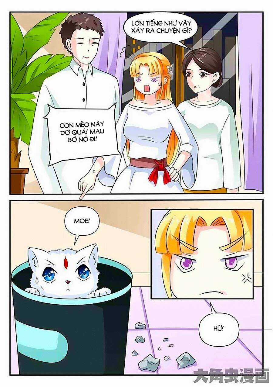 Mau Lấy Con Mèo Đó Ra - Chapter 3 - Trang 6