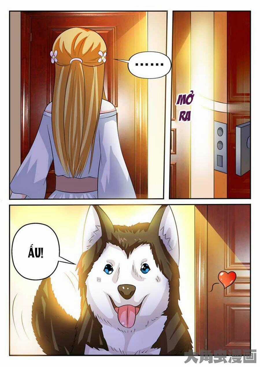 Mau Lấy Con Mèo Đó Ra - Chapter 8 - Trang 9