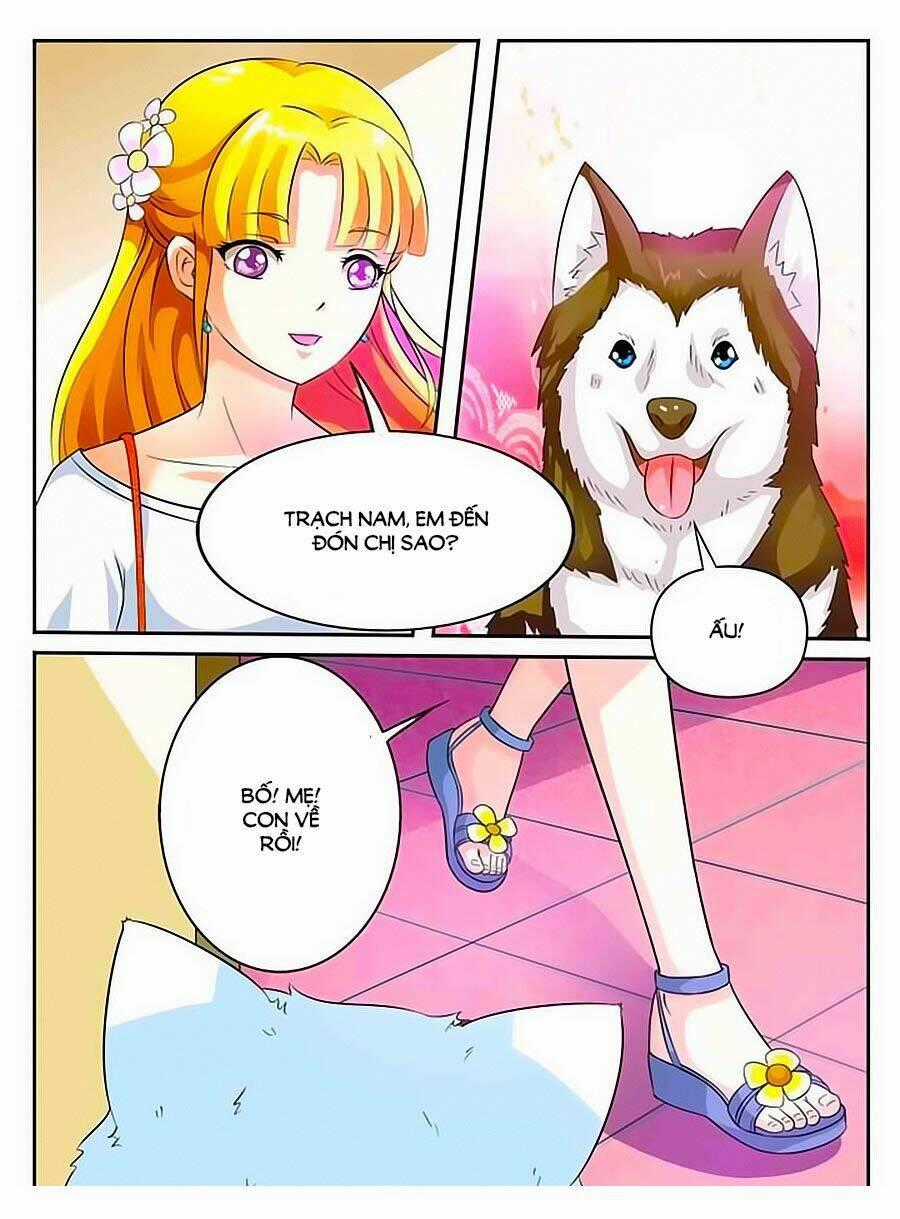 Mau Lấy Con Mèo Đó Ra - Chapter 8 - Trang 10