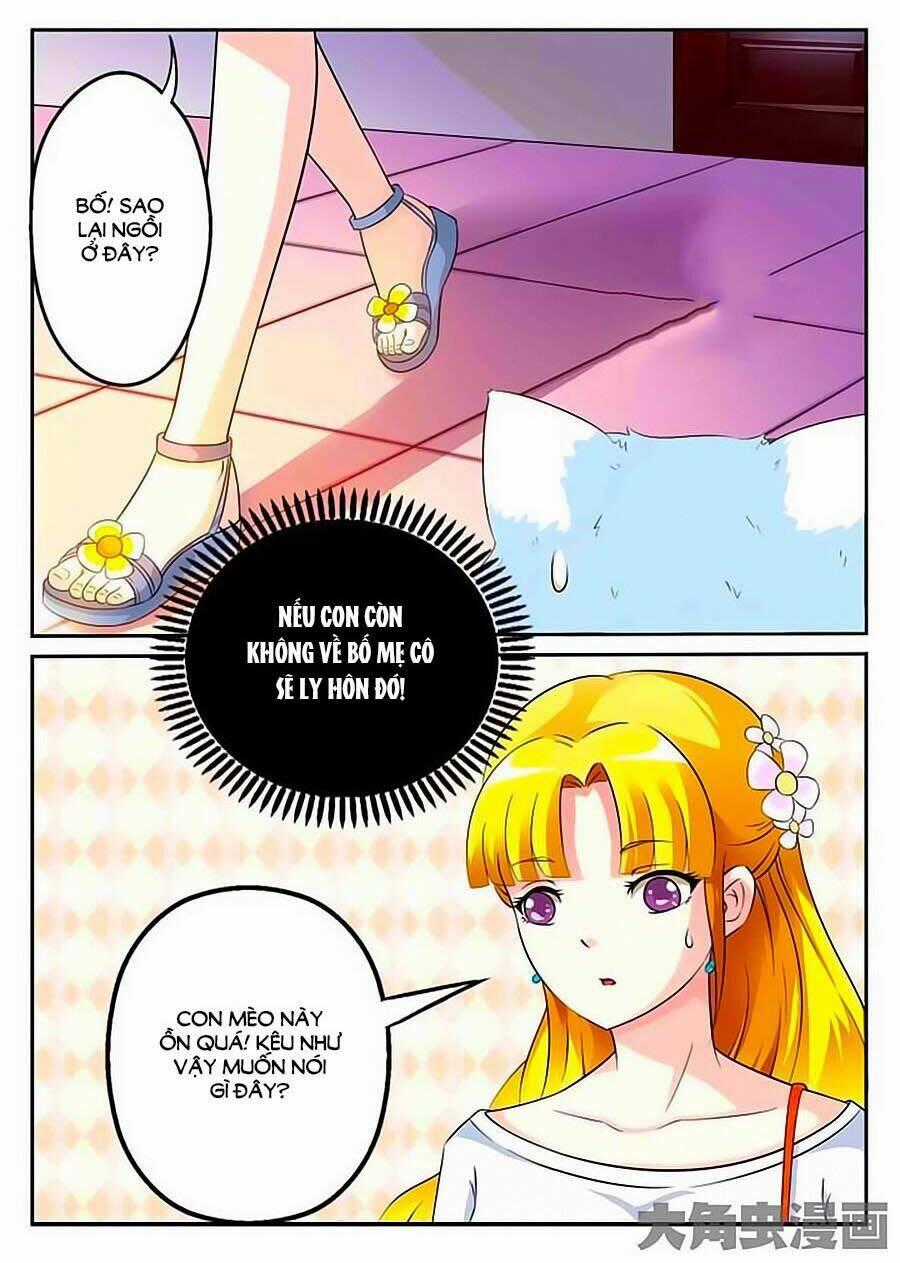 Mau Lấy Con Mèo Đó Ra - Chapter 9 - Trang 1