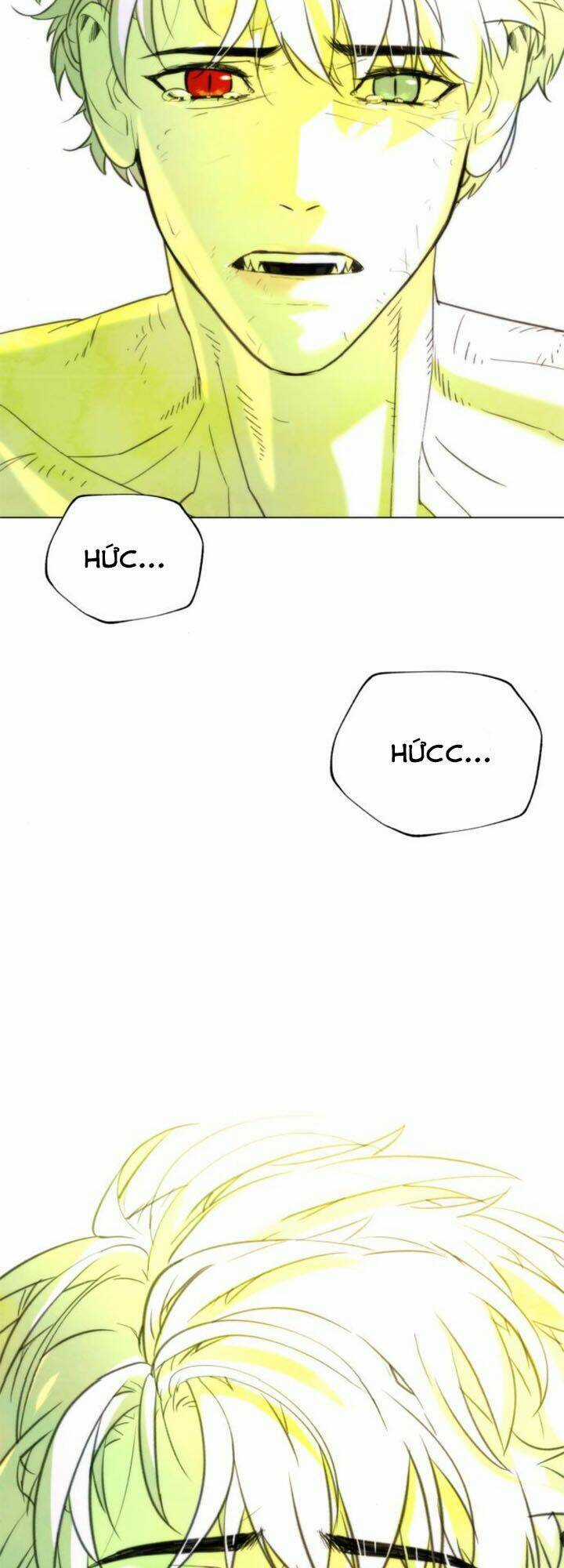 Máu Trắng - Chapter 90 - Trang 72