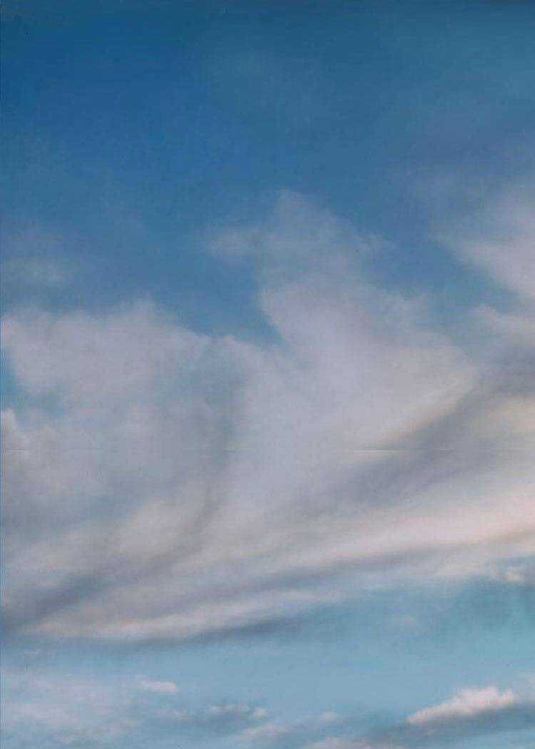 Máu Trắng - Chapter 92 - Trang 134