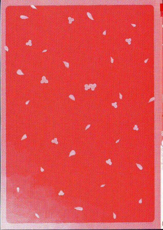 Mauri To Ryuu - Chapter 1 - Trang 4