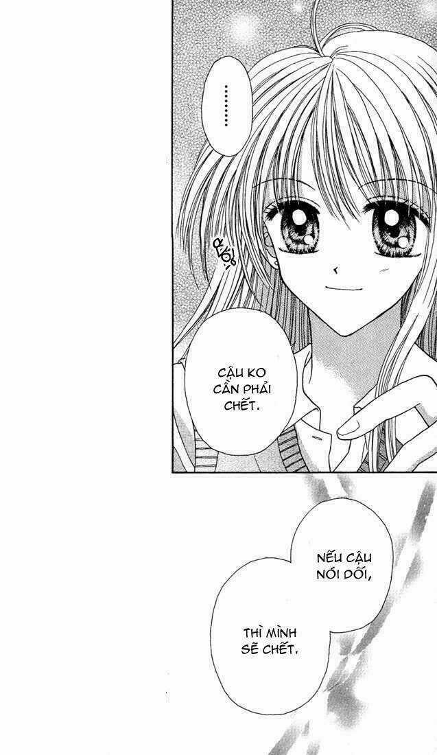 Max Lovely - Chapter 12 - Trang 23