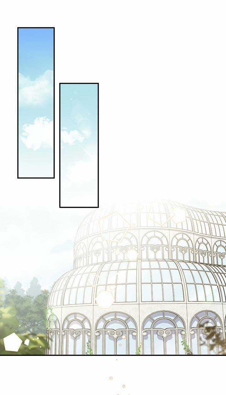 May Mắn Hay Bất Hạnh - Chapter 41 - Trang 2