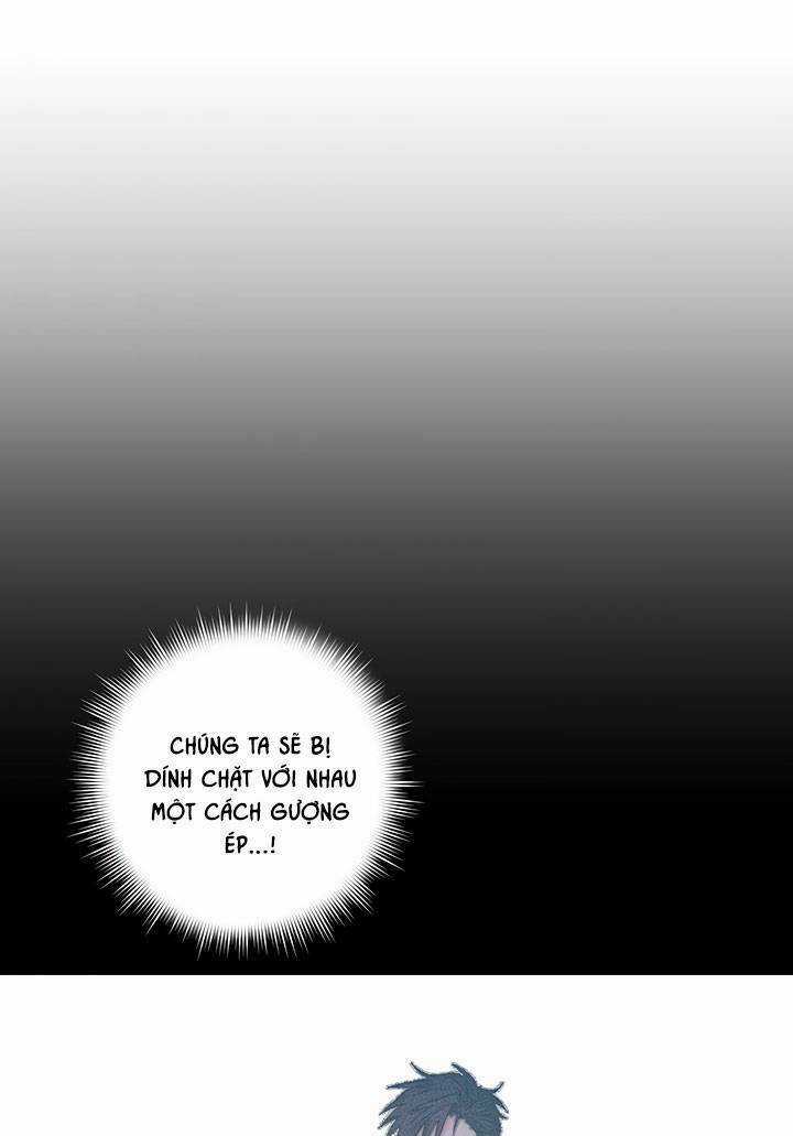 May Mắn Hay Bất Hạnh - Chapter 42 - Trang 1