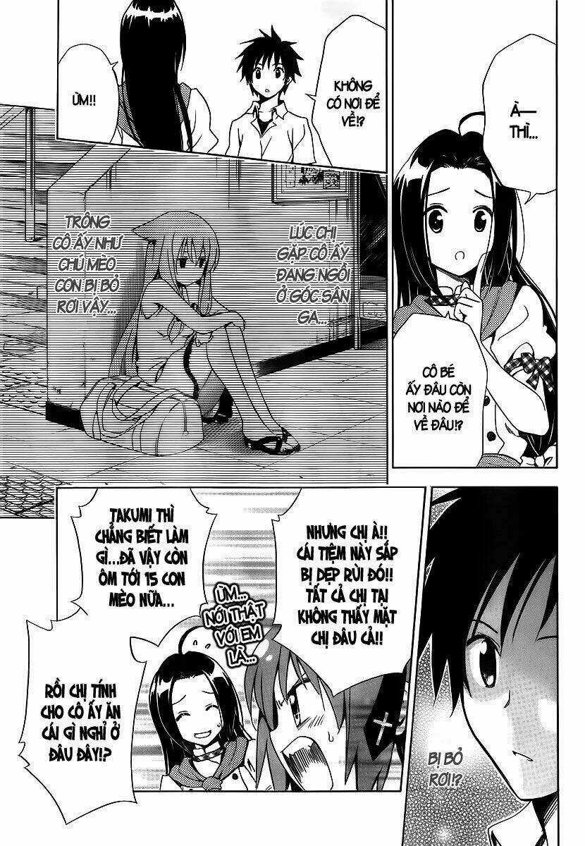 Mayoi Neko Overrun! - Chapter 1 - Trang 35