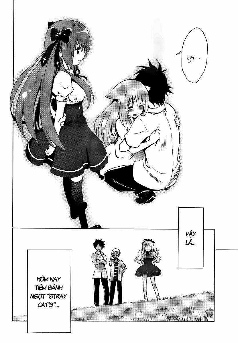 Mayoi Neko Overrun! - Chapter 1 - Trang 66