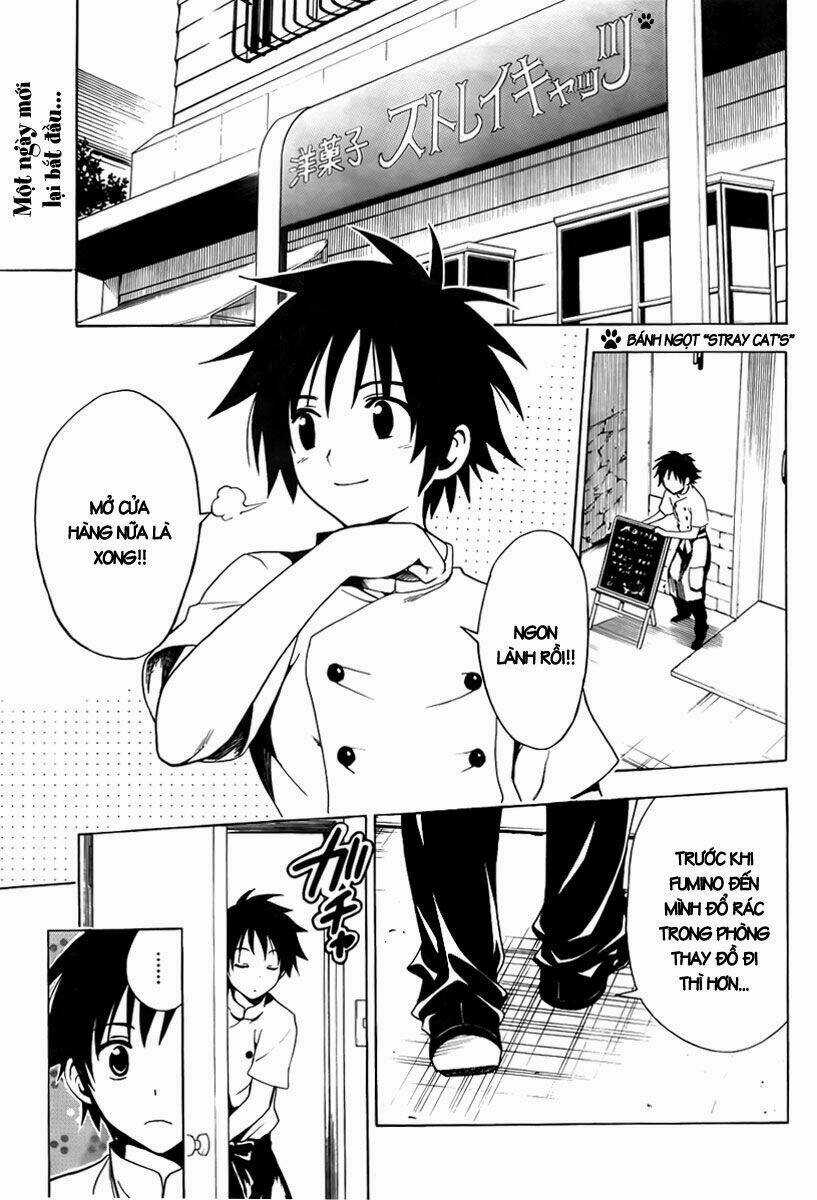 Mayoi Neko Overrun! - Chapter 1 - Trang 9