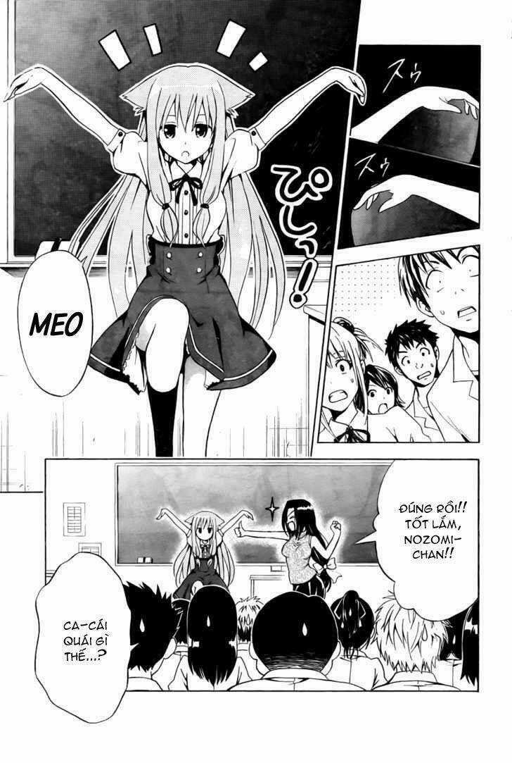 Mayoi Neko Overrun! - Chapter 2 - Trang 8