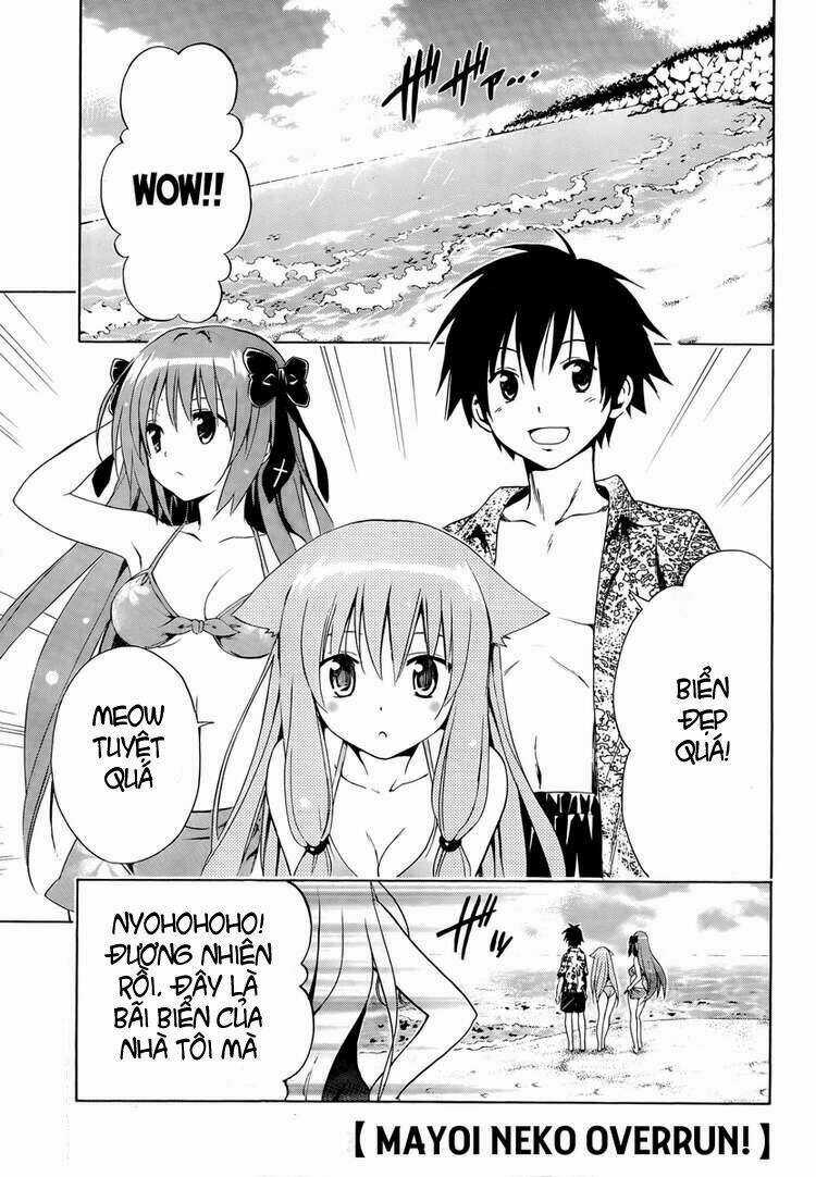Mayoi Neko Overrun! - Chapter 4 - Trang 4